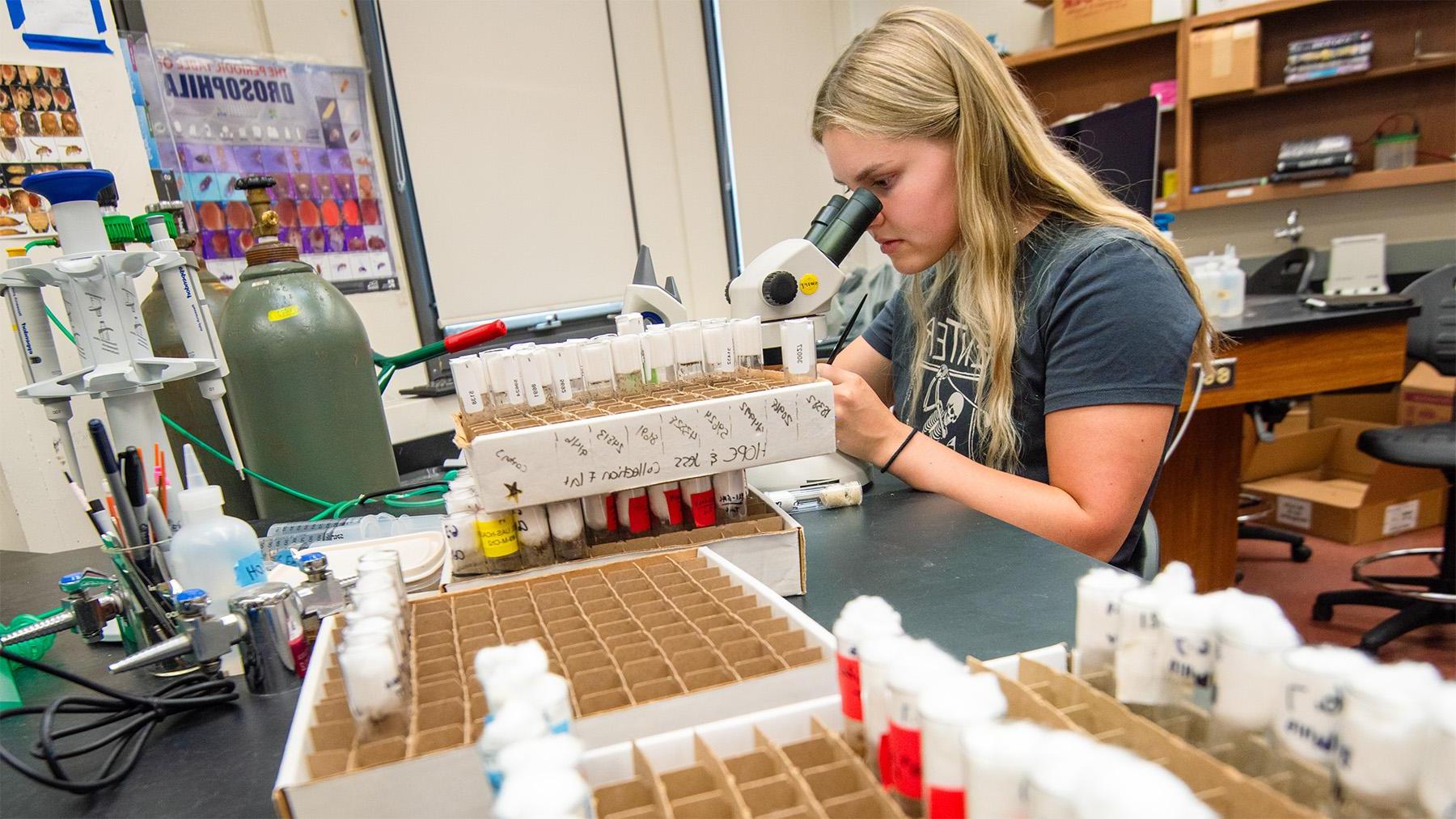 Students looking through a Microscope